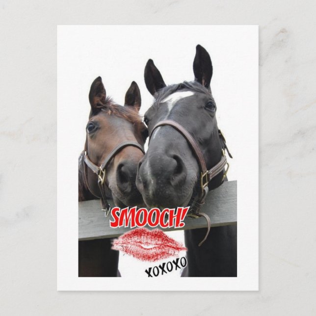 Valentine's Day Horses Holiday Postcard (Front)