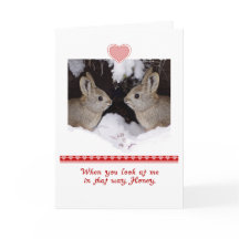 Valentine's Day, Humorous, Two Rabbits
