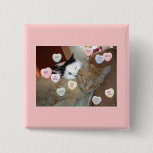 Valentine's Day Kittens 2 Inch Square Button