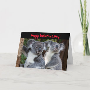 Valentine's Day Koala Bears Holiday Card