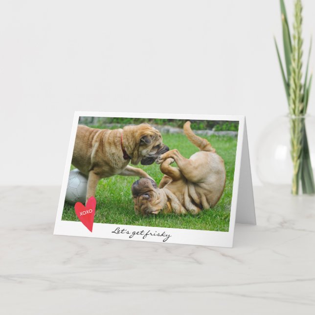 Valentine's Day Let's Get Frisky Dog Photo Holiday Card (Front)