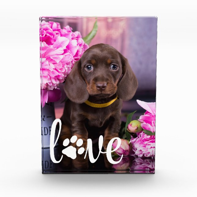 Valentines Day LOVE Custom Pet Picture Dog Lover  Photo Block (Front)