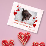 Valentine's Day Photo Template Pet Dog Cat Postcard<br><div class="desc">This design was created through digital art. It may be personalized by clicking the customize button and changing the colour, adding a name, initials or your favourite words. Contact me at colorflowcreations@gmail.com if you with to have this design on another product. Purchase my original abstract acrylic painting for sale at...</div>