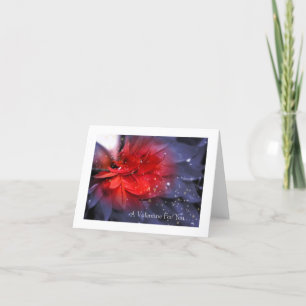 Valentine's Day: Purple Feather With Red Holiday Card