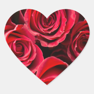 Valentine's Day Red Roses Heart Sticker