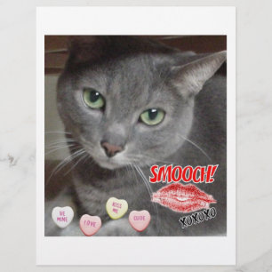 Valentine's Day Russian Blue Gray Cat Flyer