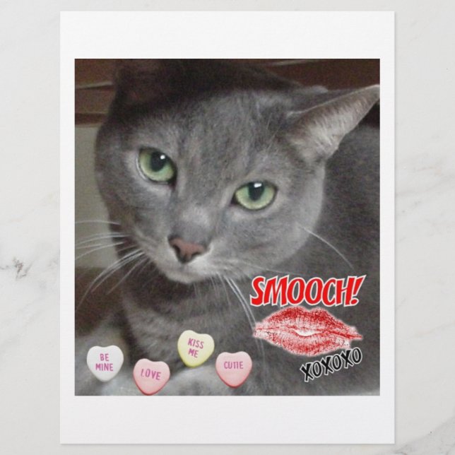 Valentine's Day Russian Blue Gray Cat Flyer (Front)
