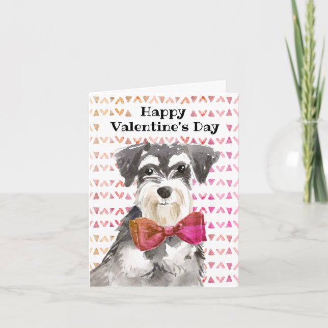 Valentine's Day Schnauzer Dog Ready to Snuggle Card (Front)