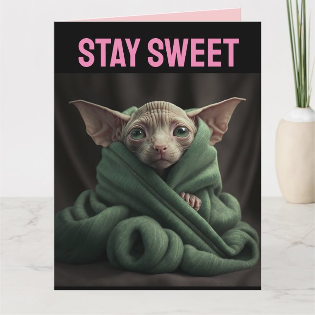 VALENTINE'S DAY SPHINX CUTE HAIRLESS CAT BIG CARD (Front)
