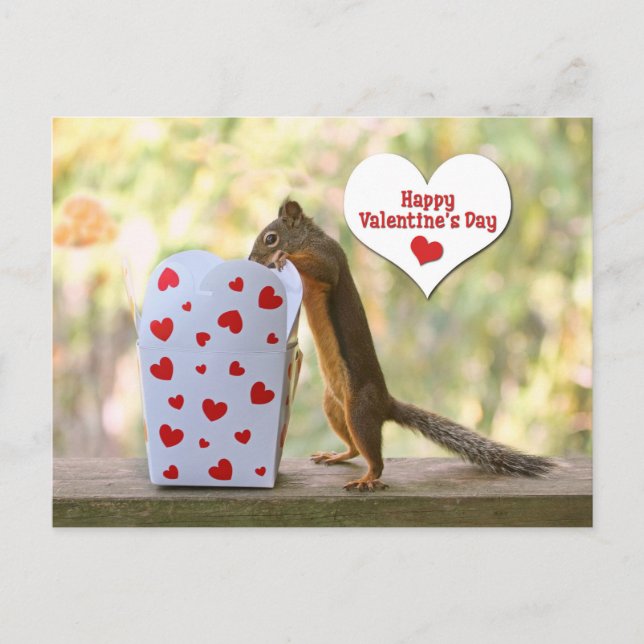 Valentines Day Squirrel Holiday Postcard (Front)