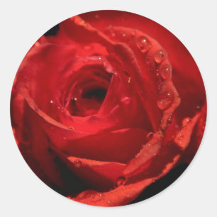 Valentine's Day Stickers