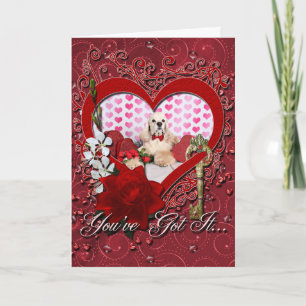 Valentine's Day - Tobey - Cocker Spaniel Holiday Card