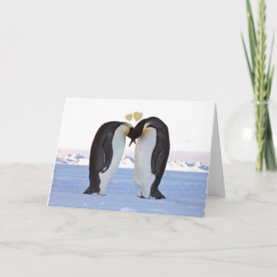 Valentine's Day, Two Penguins in Love, Hearts Holiday Card