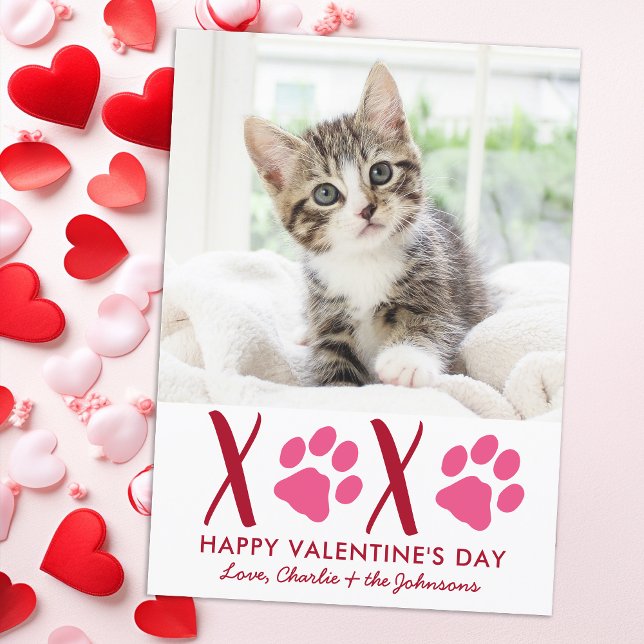 Valentines Day XOXO Cute Kitten Pet Cat Photo Holiday Card (Creator Uploaded)
