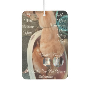 Valentine's Humor Cats Photo Text Air Freshener
