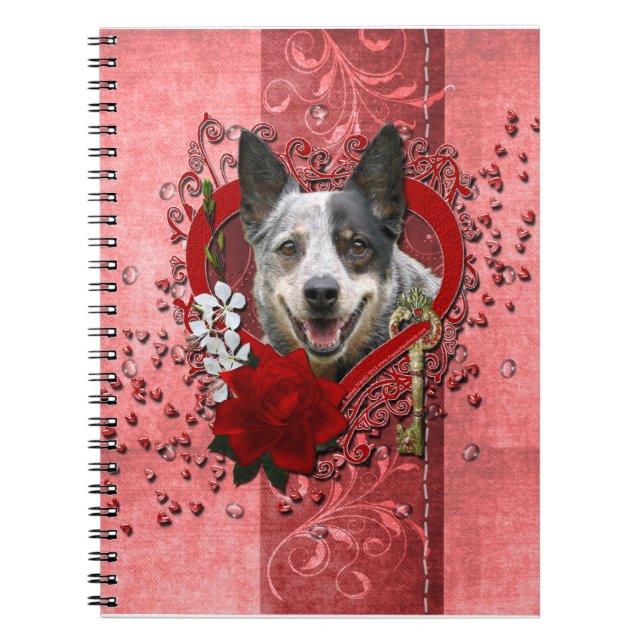 Valentines -Key to My Heart -Australian Cattle Dog Notebook (Front)