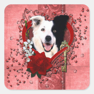 Valentines - Key to My Heart - Border Collie Square Sticker