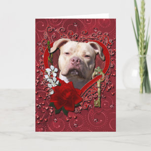 Valentines - Key to My Heart - Pitbull Jersey Girl Holiday Card