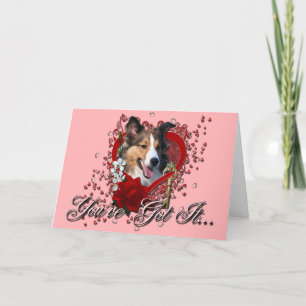Valentines - Key to My Heart - Sheltie Holiday Card
