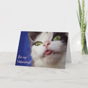 Valentine's Kitty Holiday Card