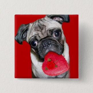 Valentine's pug button