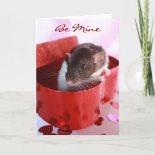 Valentine's Rat Card