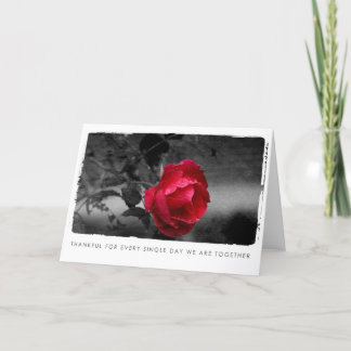 valentines rose photography holiday card