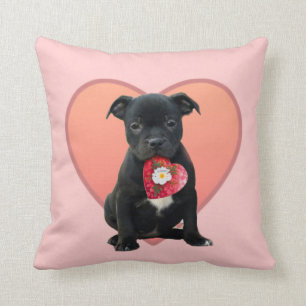 Valentine's Staffordshire bull terrier puppy Throw Pillow