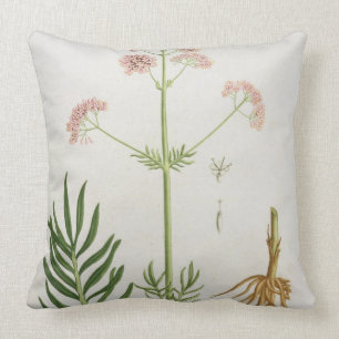 Valerian from 'Phytographie Medicale' by Joseph Ro Throw Pillow