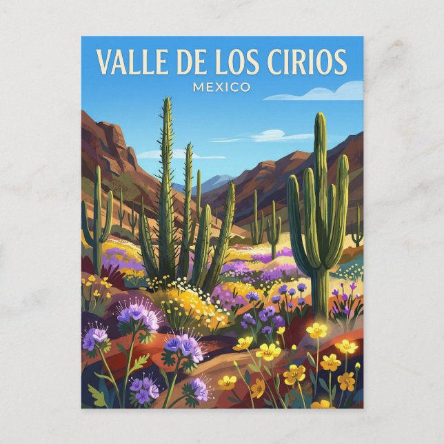 Valle de los Cirios Natural Protected Area Mexico Postcard (Front)