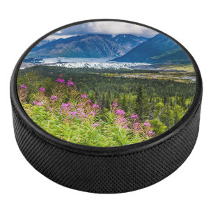 Vallée de Matanuska, centre-sud de l'Alaska
