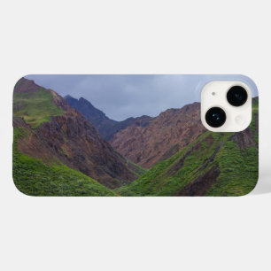 Valley At Denali's Toklat River Case-Mate iPhone 14 Case
