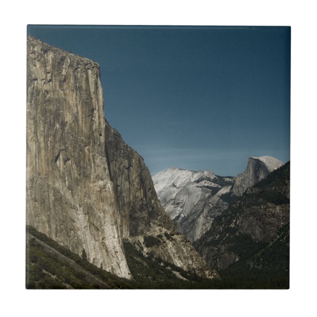 Valley Guardians  Tile (Front)