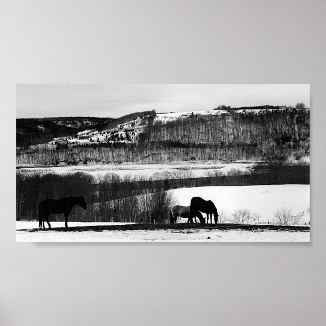Valley Horses Poster (Front)