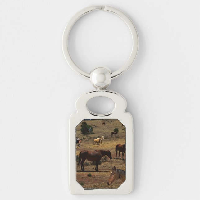 Valley Of The Horses, Key Ring (Front)