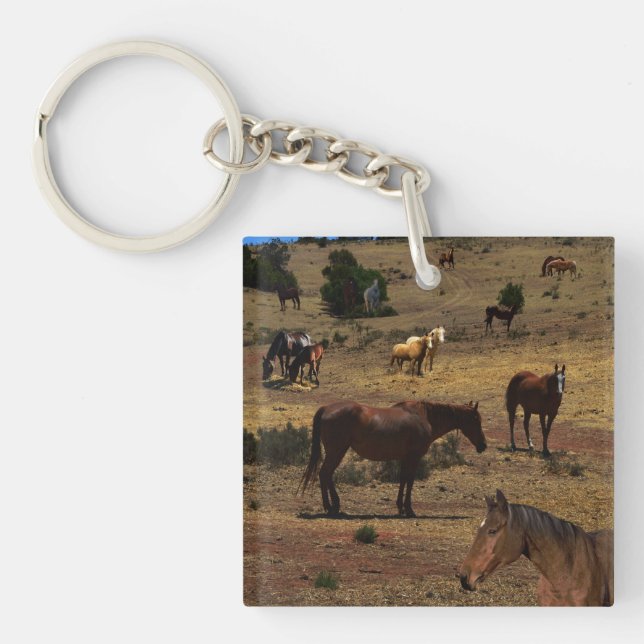 Valley Of The Horses, Keychain (Front)