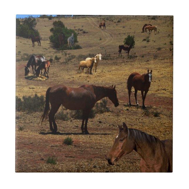 Valley Of The Horses, Tile (Front)