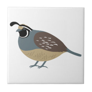 Valley Quail Tile