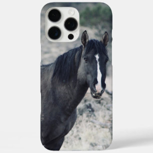 Valor iPhone 16 Pro Max Case