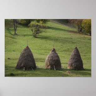 Value Poster Paper Straw Bales