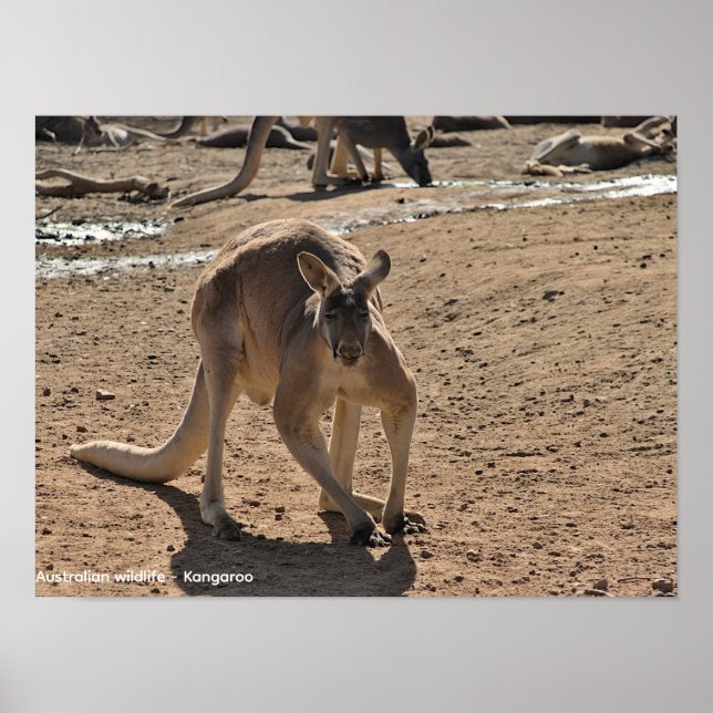 Value poster poster(semi gloss) (Front)