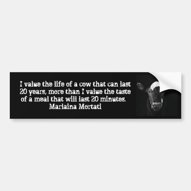 Values Black Cow Bumper Bumper Sticker (Front)
