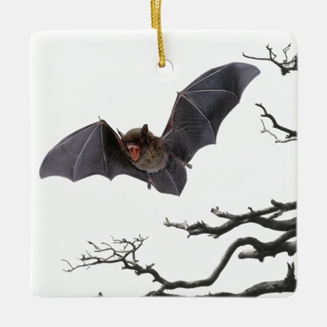 Vampire Bat, Gothic, Dracula, Bat, Ceramic Ornament (Front)