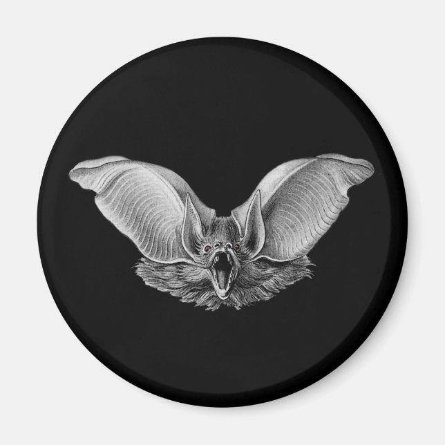 Vampire ? Bat ? Magnet (Front)