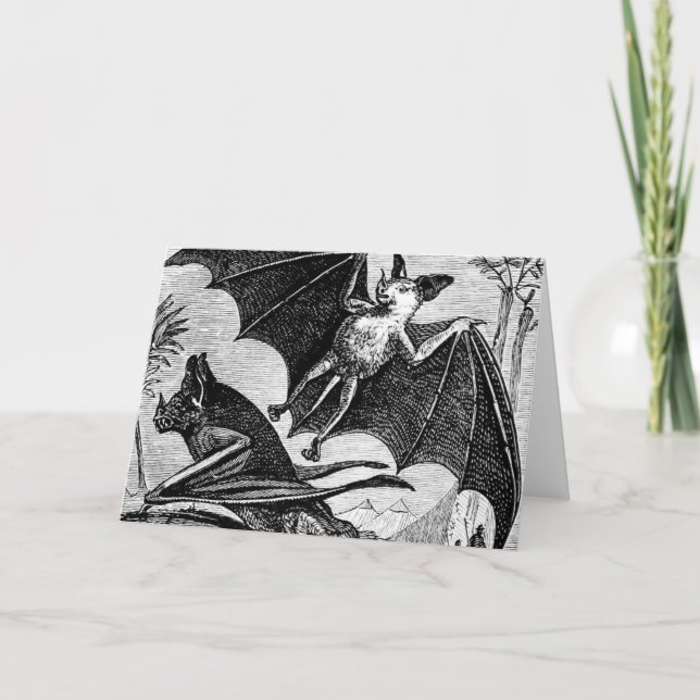 Vampire Bats Card (Front)