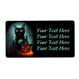 Vampire Chat et Assistant Citrouille Halloween Sur