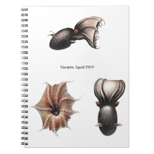 Vampire Squid Notebook