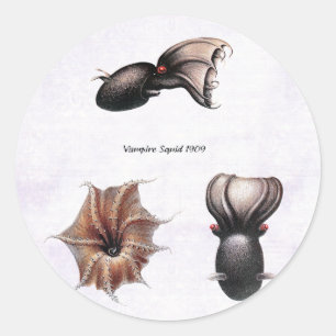Vampire Squid Sticker