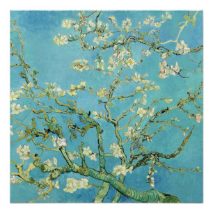 Van Gogh Almond Blossoms  Poster
