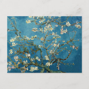 Van Gogh Almond Blossoms Vintage Floral Blue Postcard